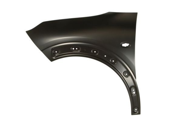 Citroen Spatbord