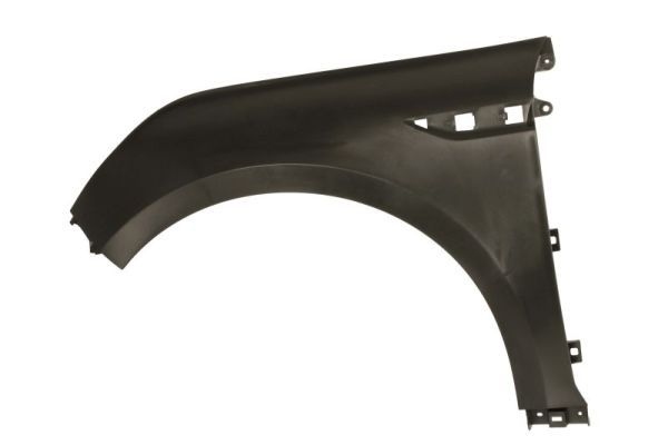 Renault Spatbord