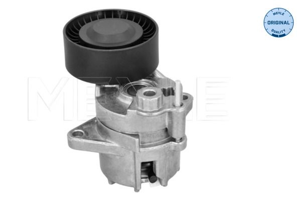 Mercedes-Benz Riemspanner, Poly V-riem