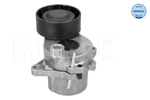 Mercedes-Benz Riemspanner, Poly V-riem