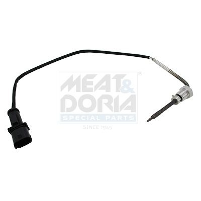 Fiat Sensor, uitlaatgastemperatuur