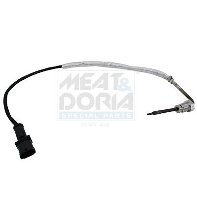 Fiat Sensor, uitlaatgastemperatuur