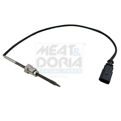 Audi Sensor, uitlaatgastemperatuur