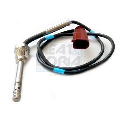 Audi Sensor, uitlaatgastemperatuur