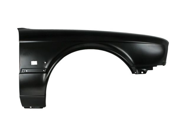 Bmw Spatbord