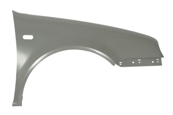 Volkswagen Spatbord