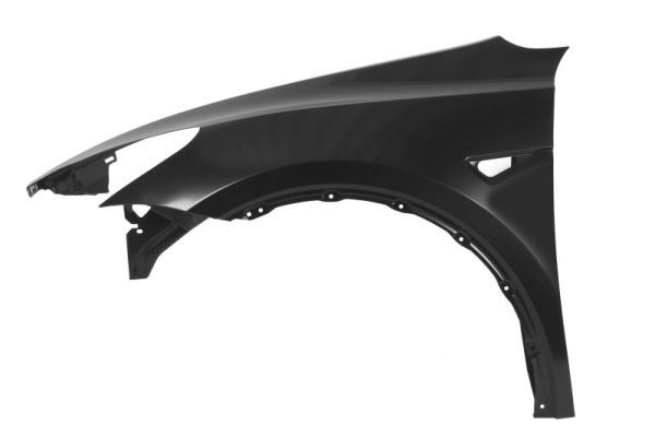 Tesla Spatbord