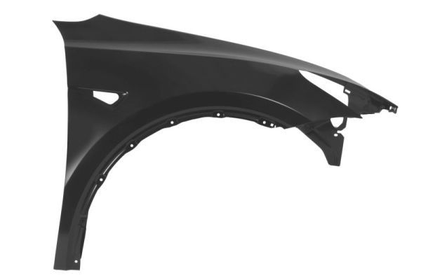 Tesla Spatbord