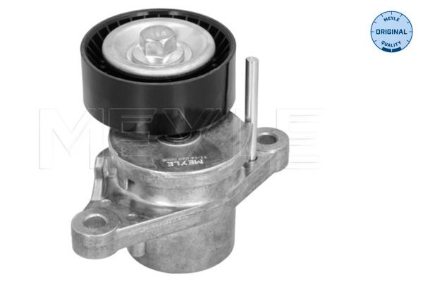 Citroen Riemspanner, Poly V-riem