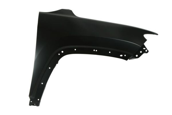 Jeep Spatbord