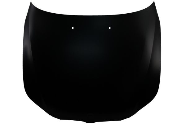 Bmw Motorkap