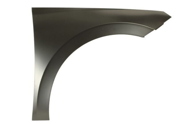 Skoda Spatbord