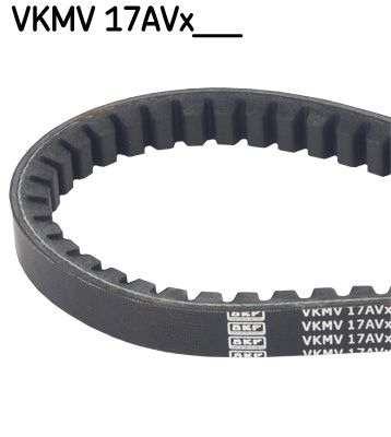 Isuzu Courroies D Accessoires V