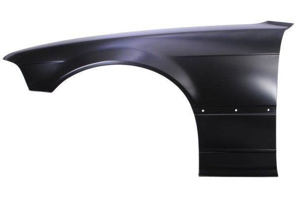 Bmw Spatbord