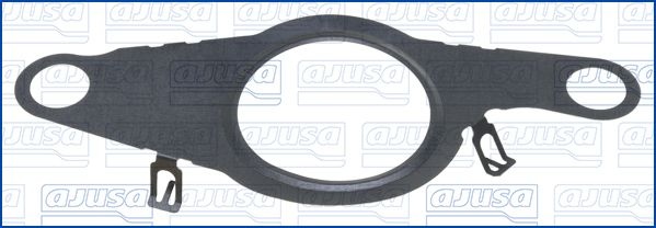 Jaguar Dichtring, leiding EGR-klep
