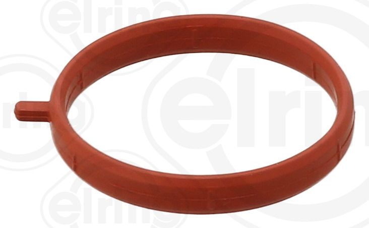 Genesis Dichtring, leiding EGR-klep