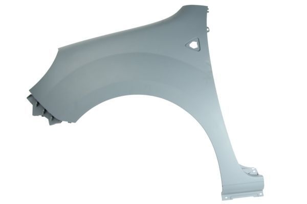 Renault Spatbord