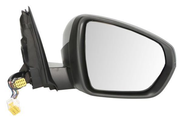 Citroen Buitenspiegel