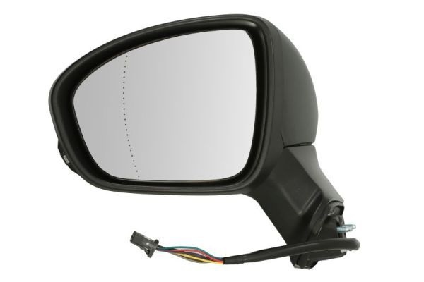 Renault Buitenspiegel