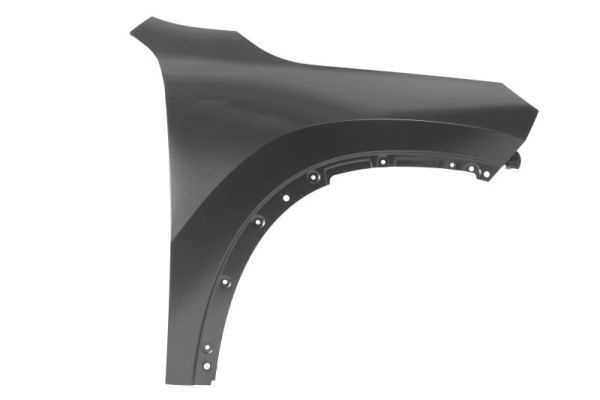 Bmw Spatbord
