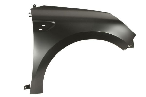 Renault Spatbord