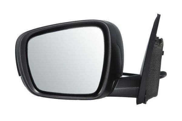 Renault Buitenspiegel
