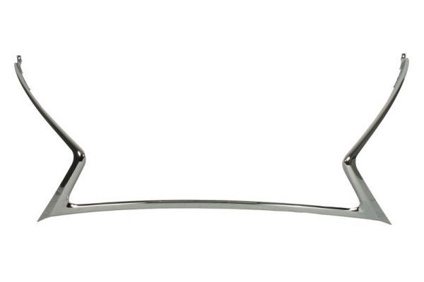 Lexus Sier- / Beschermingspaneel, radiateurgrille
