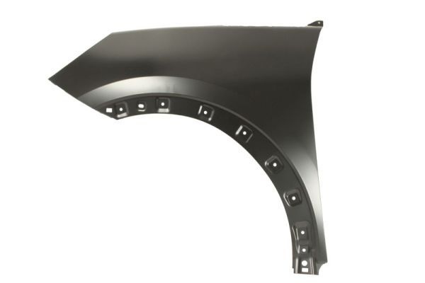 Ford Spatbord