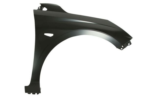 Hyundai Spatbord