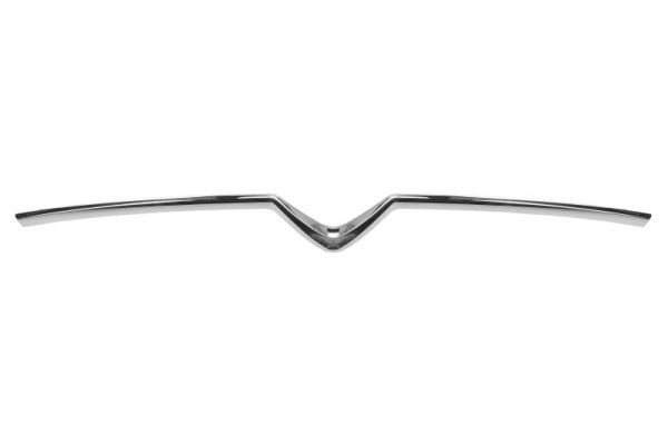 Citroen Sier- / Beschermingspaneel, radiateurgrille