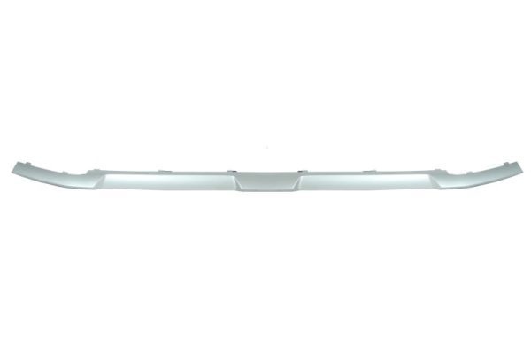 Bmw Sier- / beschermingspaneel, bumper