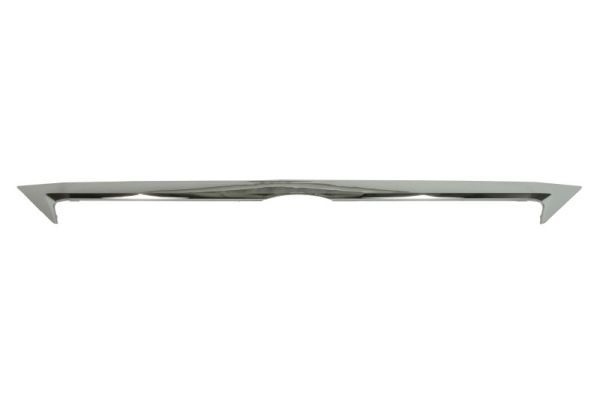 Lexus Sier- / Beschermingspaneel, radiateurgrille