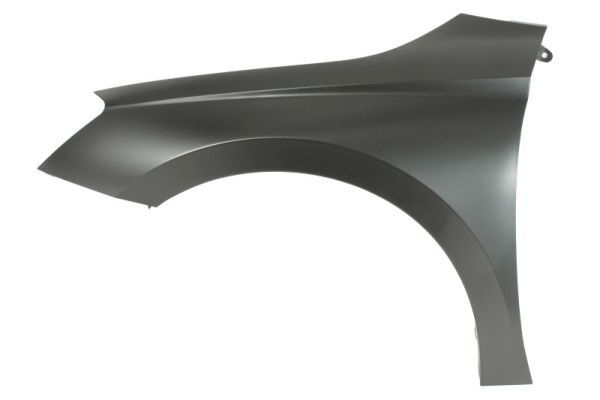 Skoda Spatbord