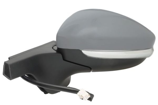 Citroen Buitenspiegel