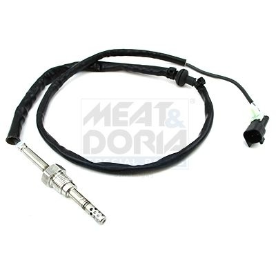 Ford Sensor, uitlaatgastemperatuur