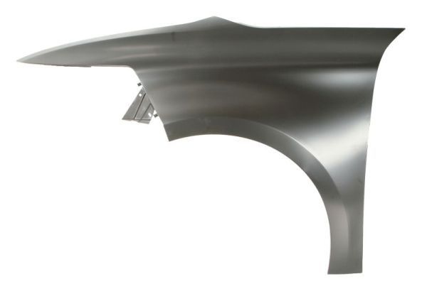 Citroen Spatbord