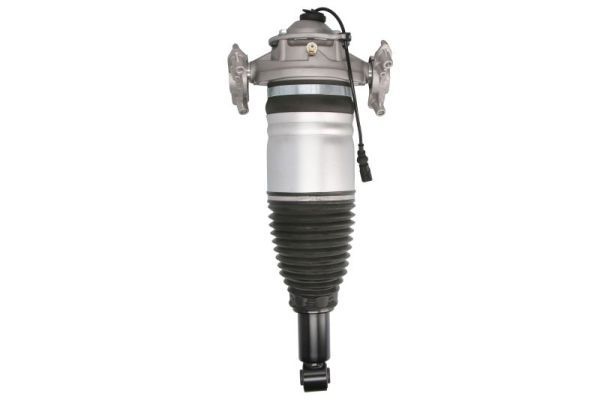 Porsche Pneumatische veerpoot