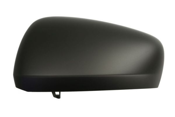 Renault Afdekking, buitenspiegel
