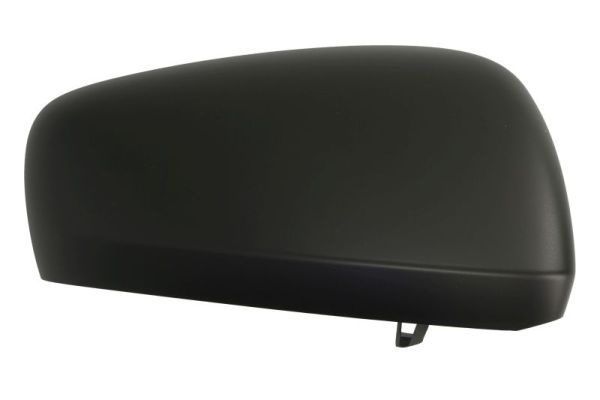 Renault Afdekking, buitenspiegel