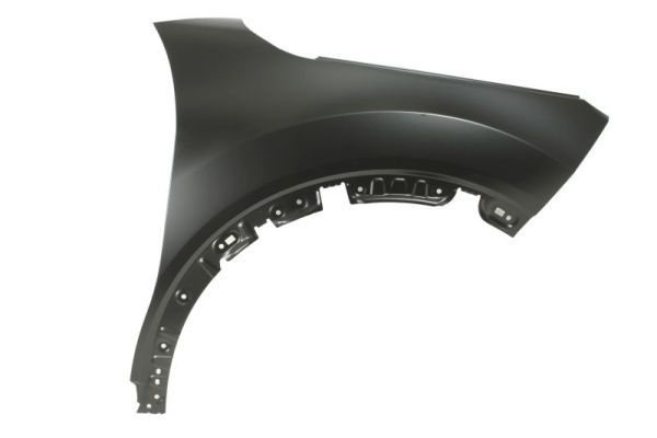Citroen Spatbord
