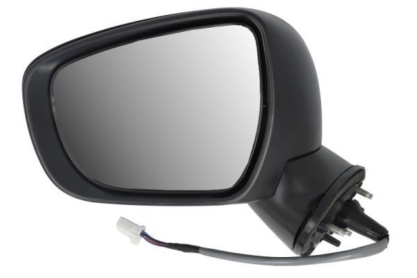 Suzuki Buitenspiegel