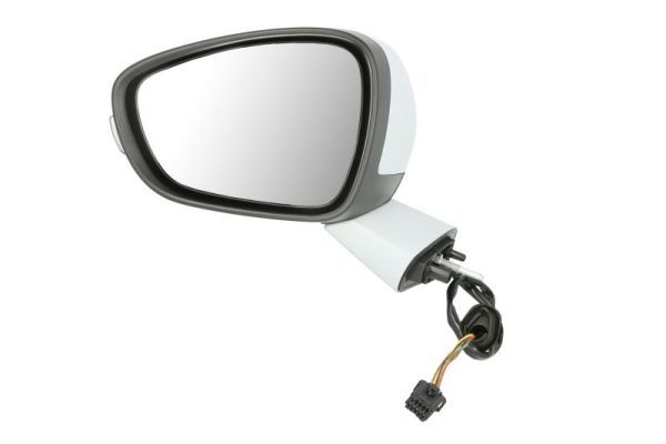 Citroen Buitenspiegel