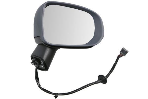Volvo Buitenspiegel