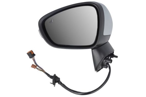 Citroen Buitenspiegel