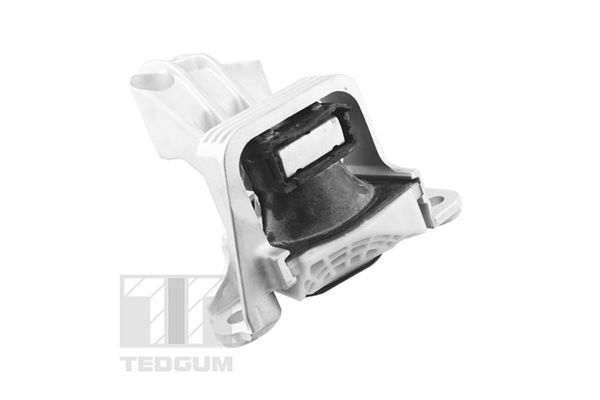 Renault Aslichaam-/motorsteunlager