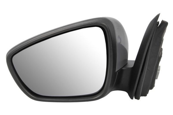Ford Buitenspiegel