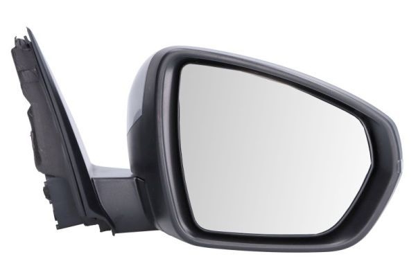 Citroen Buitenspiegel