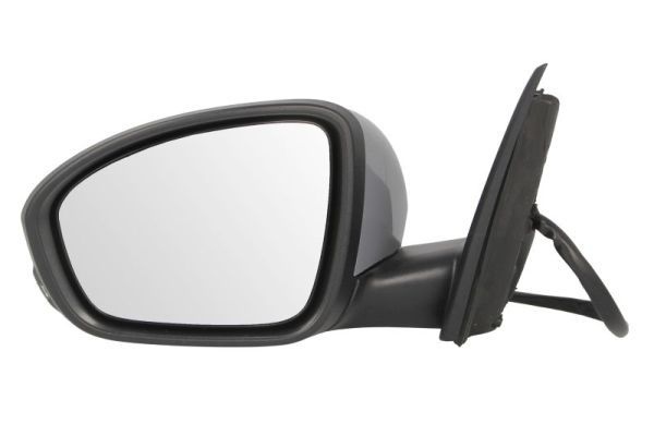 Renault Buitenspiegel