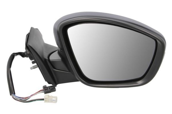 Citroen Buitenspiegel