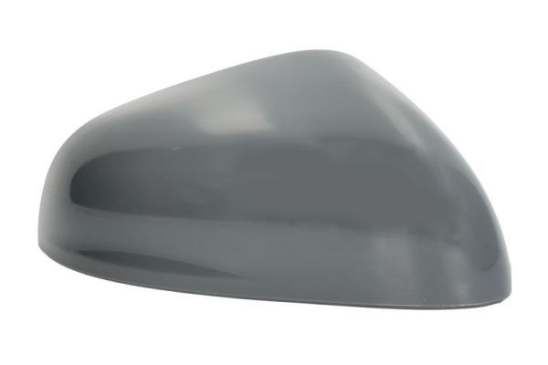 Ford Afdekking, buitenspiegel